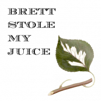 Пиво Brett Stole My Juice