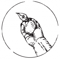 Пиво Smack My Peach Up