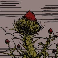 Пиво Fausttophel