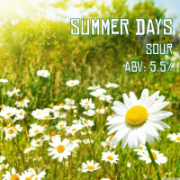 Пиво Summer Days