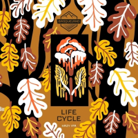 Пиво Life Cycle Пиво Life Cycle