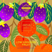 Пиво Low Hanging Fruit Пиво Low Hanging Fruit