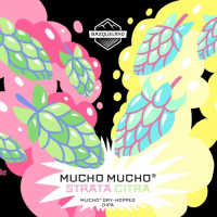 Пиво Mucho Mucho Strata Citra Пиво Mucho Mucho Strata Citra