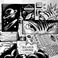 Пиво Silver Lining Пиво Silver Lining