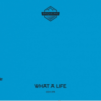 Пиво What A Life Пиво What A Life