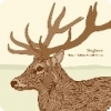 Пиво Staghorn Пиво Staghorn