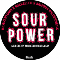 Пиво Sour Power Пиво Sour Power