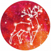 Пиво Mango Showdown