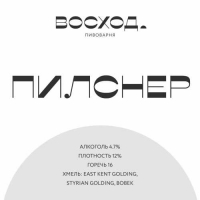 Пиво Пилснер