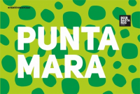 Пиво Punta Mara Пиво Punta Mara