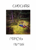 Пиво Сносная Горечь Пития