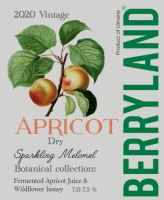 Пиво Apricot Sparkling Melomel
