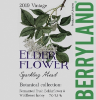 Пиво Elderflower Mead