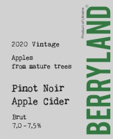 Пиво Pinot Noir Apple cider