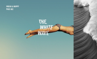 Пиво The White Wave Пиво The White Wave