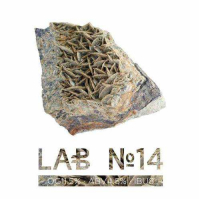 Пиво LAB №14