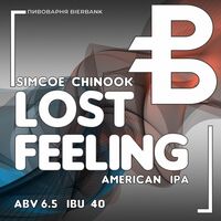 Пиво Lost Feeling