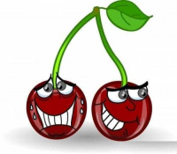 Пиво Not So Young LAMBIC