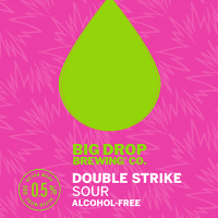 Пиво Double Strike Sour