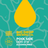 Пиво Poolside DDH IPA
