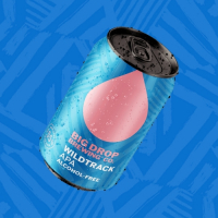 Пиво Wildtrack APA