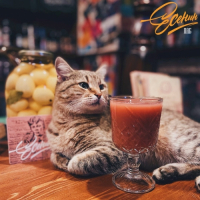 Пиво Айседора