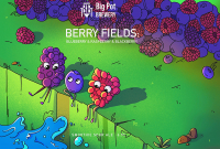 Пиво Berry Fields: Blackberry & Raspberry & Blueberry