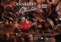 Пиво Cranberry In Chocolate