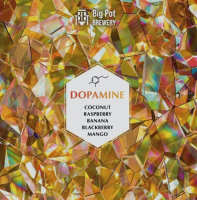 Пиво DOPAMINE: Coconut & Raspberry & Banana & Blackberry & Mango