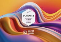 Пиво Dopamine: Pomegranat & Blueberry & Rasberry & Apricot