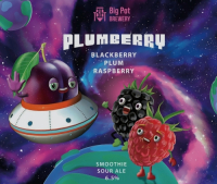Пиво Plumberry