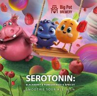 Пиво Serotonin: Blackberry & Pomegranate & Apricot