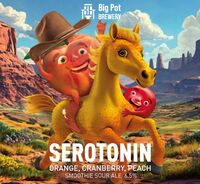 Пиво SEROTONIN ORANGE & CRANBERRY & PEACH