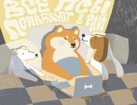 Пиво Все псы попадают в рай Часть 2