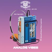 Пиво ANALOG VIBES