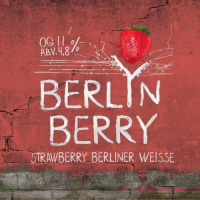 Пиво BerlinBerry