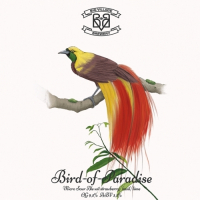 Пиво Bird-of-Paradise