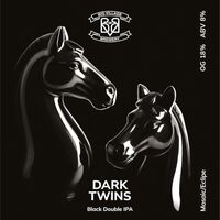 Пиво DARK TWINS