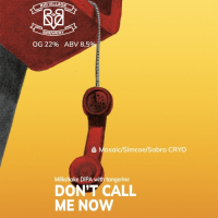 Пиво Don't Call Me Now (Tangerine) Пиво Don't Call Me Now (Tangerine)