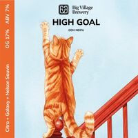 Пиво HIGH GOAL