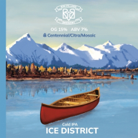 Пиво ICE DISTRICT