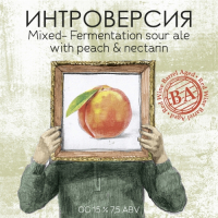 Пиво Интроверсия