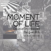 Пиво Moment of Life