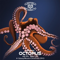 Пиво OCTOPUS