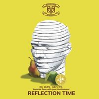 Пиво Reflection Time