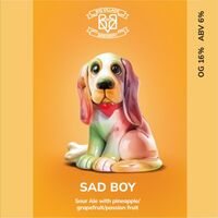 Пиво Sad Boy