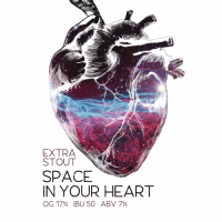 Пиво Space In Your Heart