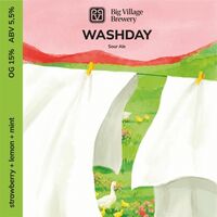 Пиво WASHDAY