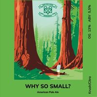 Пиво Why So Small?