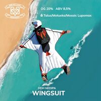 Пиво WINGSUIT